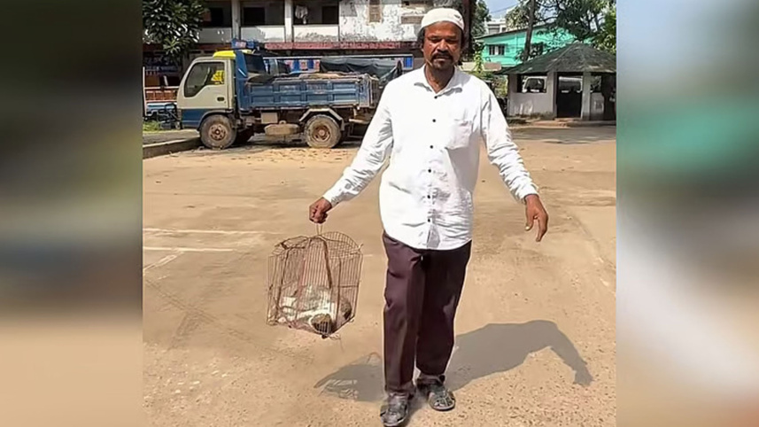 প্রতিবেশীর বিরুদ্ধে পোষা বিড়াল পিটিয়ে হত্যার অভিযোগ