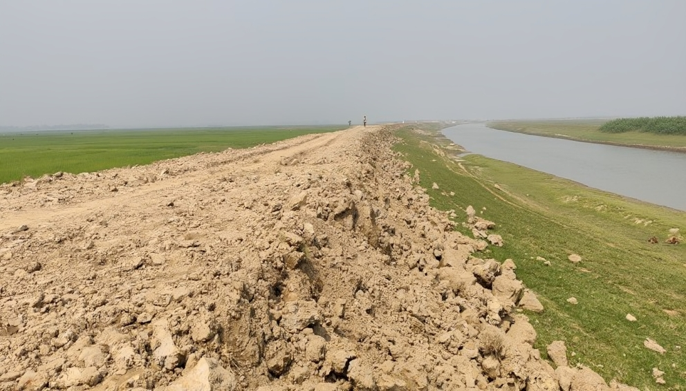 নির্ধারিত সময়েও শেষ হয়নি হাওরের বাঁধ অনিয়মের অভিযোগ