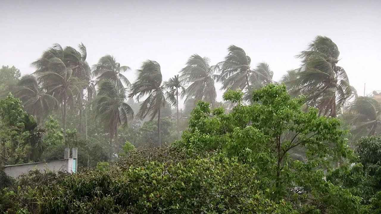 দুপুরের আগে যেসব এলাকায় ঝড় বৃষ্টি হতে পারে বলে আশঙ্কা রয়েছে।