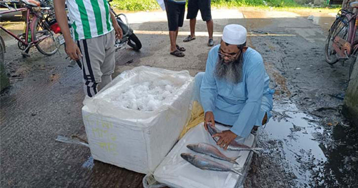 ভারত থেকে হঠাৎ বন্ধ ইলিশ আমদানি, বাতিল ১০৩ এনওসি