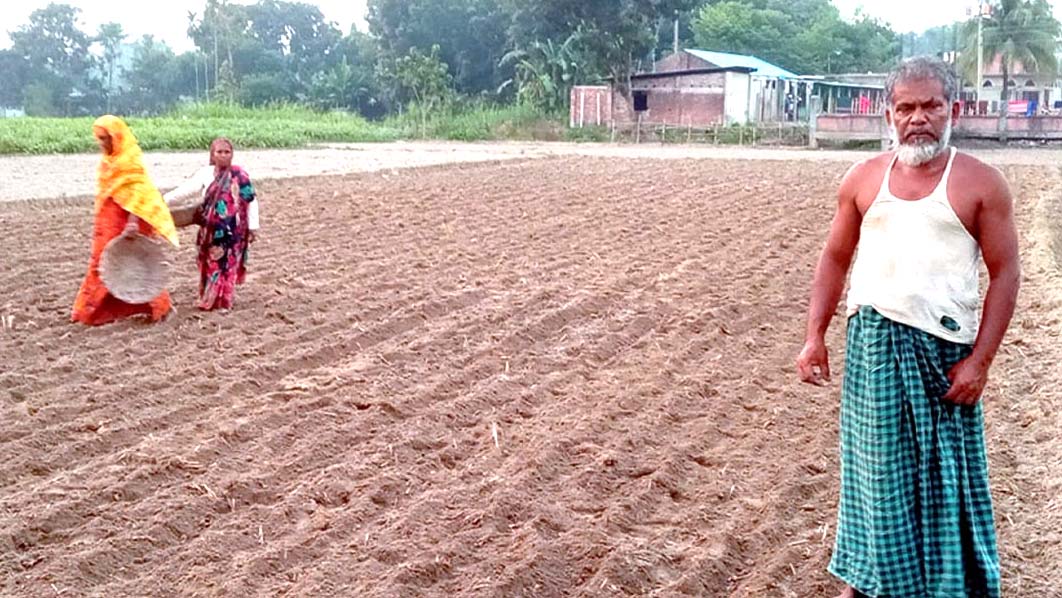 ফুলবাড়ীতে আগাম আলু চাষে ব্যস্ত কৃষক