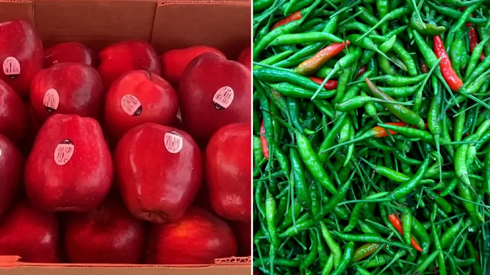 শুল্ক ফাঁকি ও অর্থ পাচারের অভিযোগ