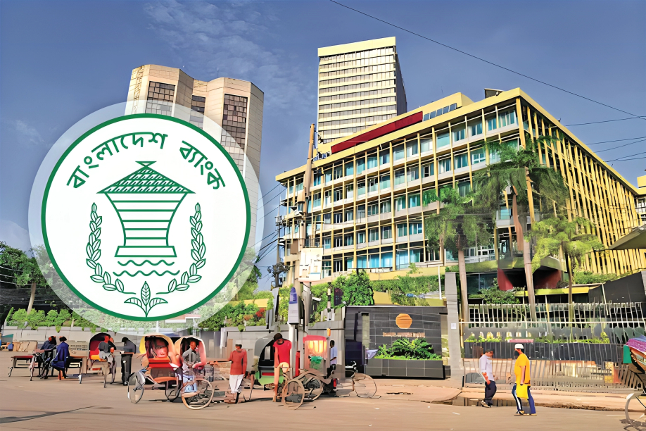 বাংলাদেশ ব্যাংকের পাঁচ আর্থিক প্রতিষ্ঠান অবসায়নের সিদ্ধান্ত