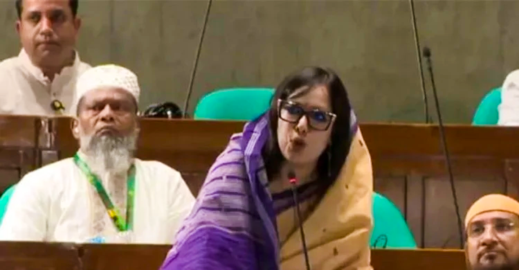 কেন শপথ নেননি ব্যাখ্যা দিলেন রুমিন ফারহানা