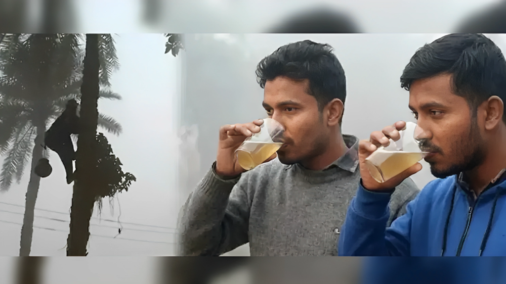 অনলাইনে কাঁচা খেজুর রস বিক্রি নিপাহ ভাইরাস ছড়ানোর ভয়াবহ ঝুঁকি