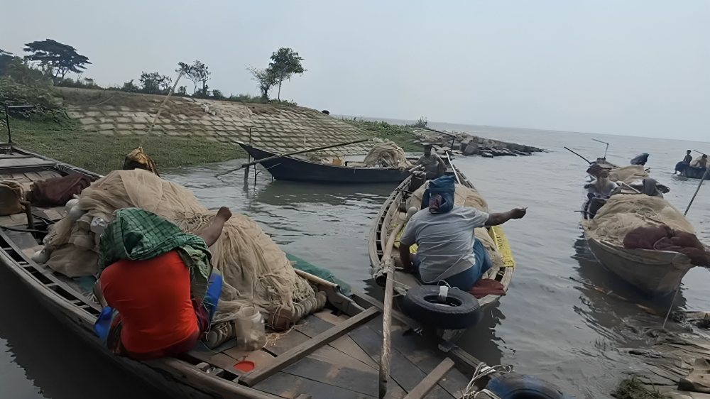 নিষেধাজ্ঞা শেষে নদীতে ফিরছেন চাঁদপুরের জেলেরা
