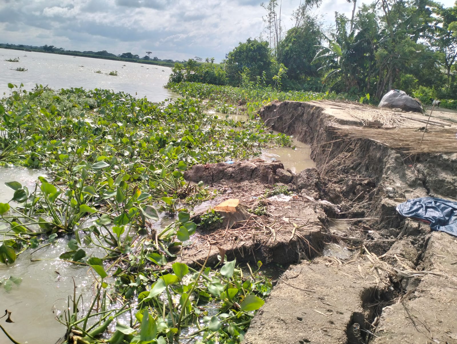 নদীভাঙনে মিয়ারচরে নিঃস্ব ৪০ পরিবার, ঝুঁকিতে স্কুলের একমাত্র যোগাযোগপথ